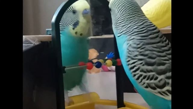 ПОКА ещё НЕ ПОЗДНО! смотреть онлайн