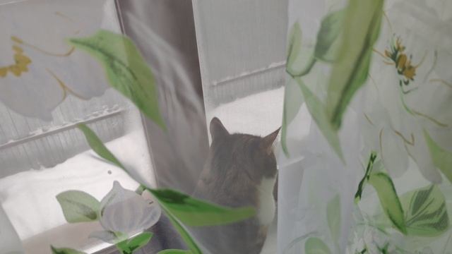 Зола- это не УДОБРЕНИЕ! Там нет КАЛИЯ! смотреть онлайн