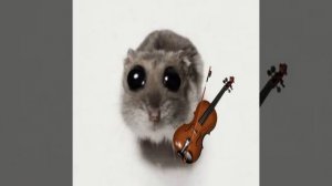 Грустный хомяк... (krushfunk)