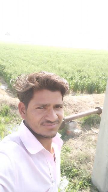 gehun mein 4 Pani #shorts #Youtubeshorts #bptull смотреть онлайн