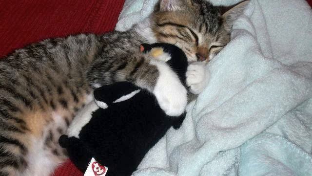 Слушать новинки музыки онлайн. Хит сезона! Люблю! смотреть онлайн