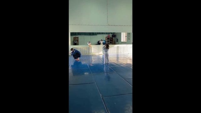 Об Айкидо от Алисы Кисы