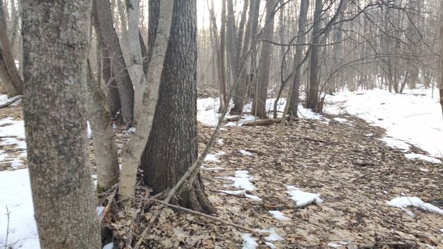 VID_20240316_075512 смотреть онлайн