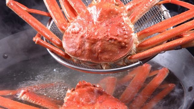 Kepiting Salju (Chionoecetes opilio) смотреть онлайн