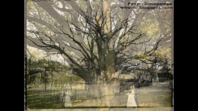 Zaporizhian Oak Lament * Плач Запорізького Дуба * Марко Фаріон бандурист смотреть онлайн