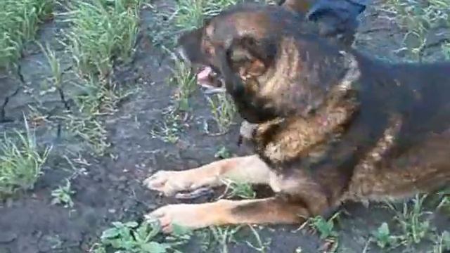 след 16 мая.wmv смотреть онлайн