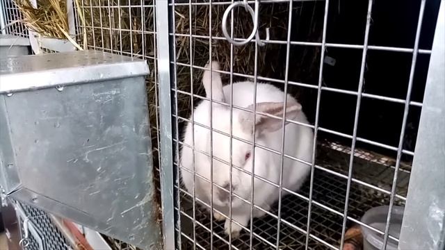 Детишкам посвещается ! смотреть онлайн