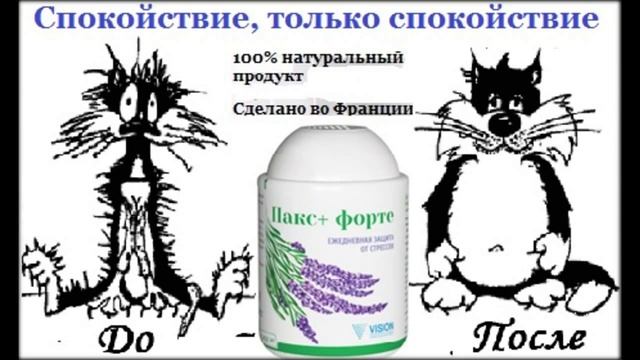 визион каталог