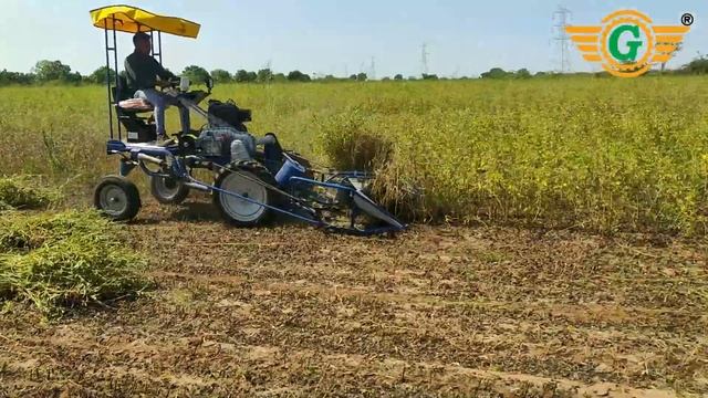 GUAR GUM HARVESTING MACHINE | गवार गम काटने की मशीन | GREENLEND REAPER BINDER смотреть онлайн