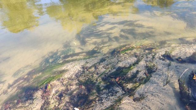 VID_20240907_084753 смотреть онлайн