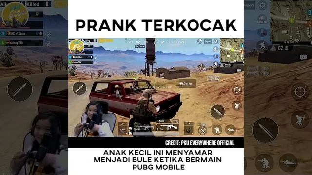 PRANK TERLUCU PURA PURA JADI ORANG AUSTRALIA - PUBG MOBILE INDONESIA смотреть онлайн