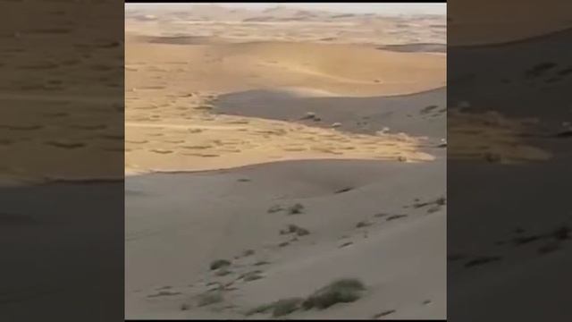 هدد علي حبارى смотреть онлайн