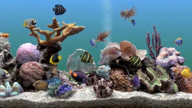 Marine Aquarium 3.0 Windows смотреть онлайн