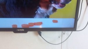 ВКУСНАЯ СОБАКА 4K ЛАПКИ ЛАЙФ ЧАСТЬ 11