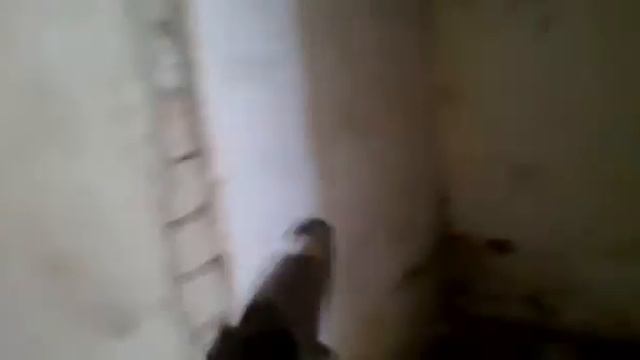 Сounter Strike (по-Зарубински) смотреть онлайн