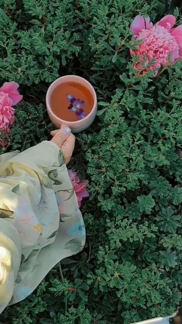 Знаешь, кому отправить🍥#чайковская #целуйменя #обнимашки #лирика #чай #согрейдушу #личныйбренд смотреть онлайн