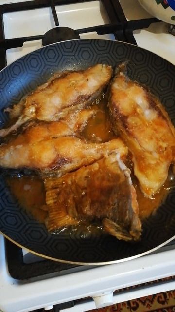 Карпище жирный