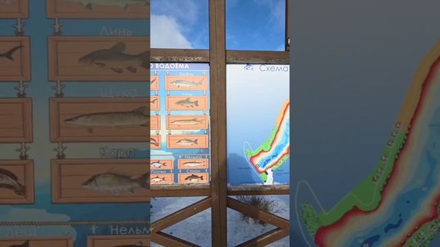 Марлин "NEWS" смотреть онлайн