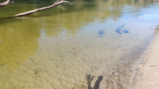 VID_20240907_093731 смотреть онлайн