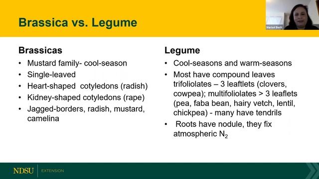 Grazing Cover Crops Webinar #4 - April 16, 2020 смотреть онлайн