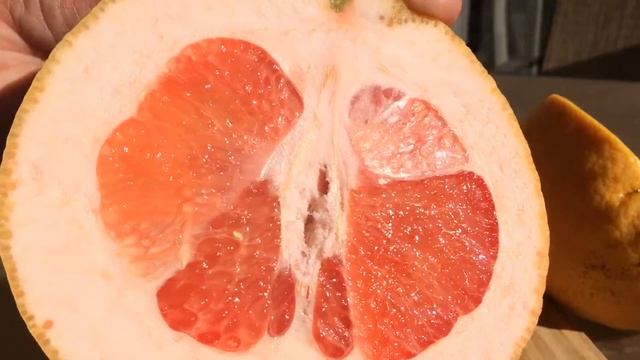 Cutting Large Rio Red Grapefruit