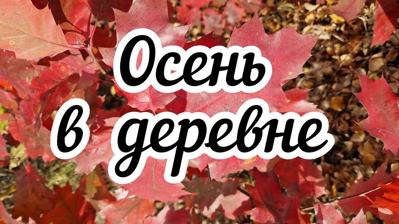 Осень в деревне Релакс-влог смотреть онлайн