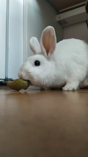 Эх груша, ароматна и вкусна... 🍐 🍐 🍐 смотреть онлайн