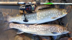 2022. Хабаровский край. Рыбалка на реке Коппи. Часть 1.