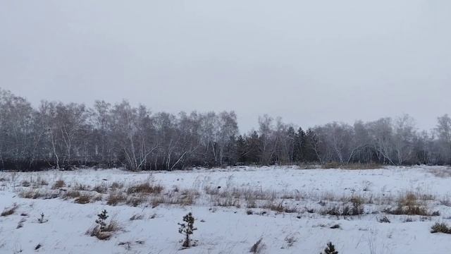 болото смотреть онлайн