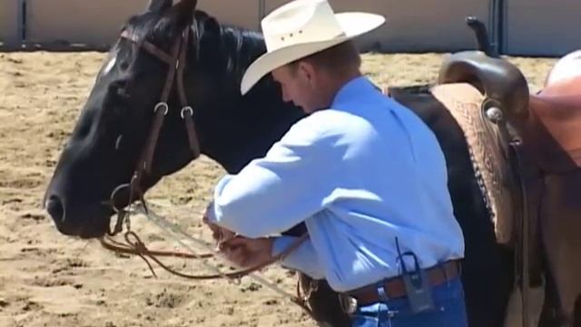 The German Martingale - Improve Your Horse's Head Position and Suppleness смотреть онлайн