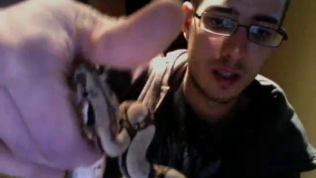 My Jungle Boa Constrictor смотреть онлайн