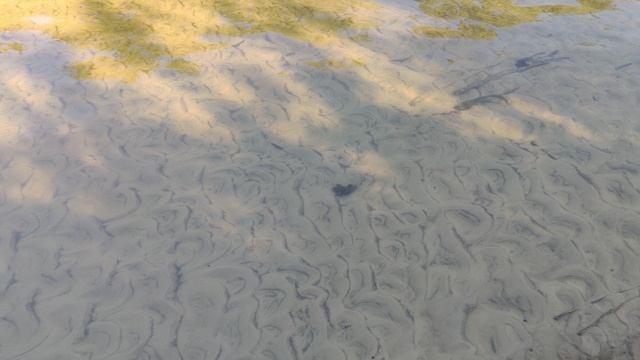 VID_20240907_084957 смотреть онлайн