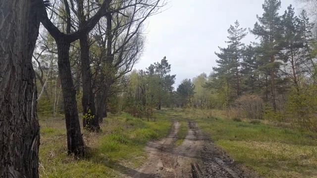 ветер живой смотреть онлайн