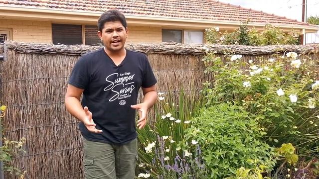 How to Grow Mint Easily | Mint Plant Care Tips for Bushy Growth смотреть онлайн