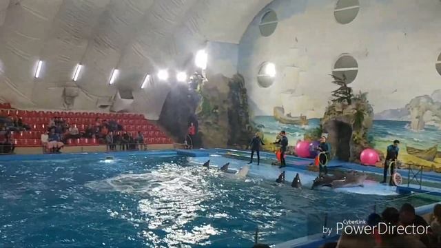 Харьковский дельфинарий "Немо" смотреть онлайн