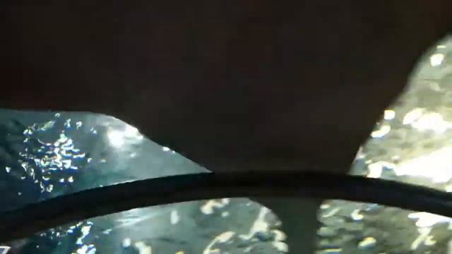 saw! Shark! смотреть онлайн