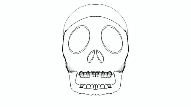 3 D Line Art 3 D Sphere and Skull смотреть онлайн