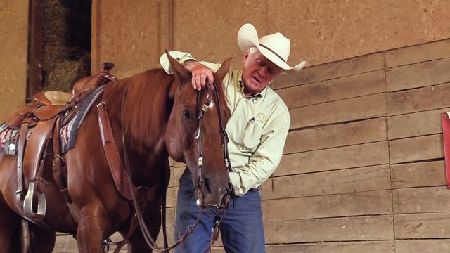 How to Remove a Horse’s Bridle - Terry Myers смотреть онлайн