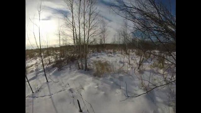 Охота на кабана смотреть онлайн