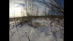 Охота на кабана