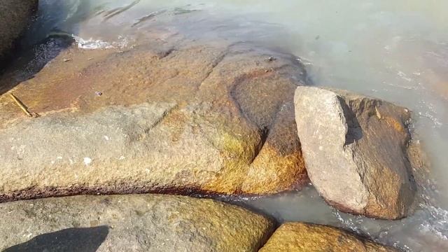 [VLOG] ОХОЧУСЬ НА КРАБА (10.12.2018) смотреть онлайн