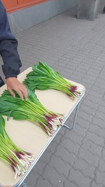 продам колбу ( черемшу) 20.05.23г смотреть онлайн