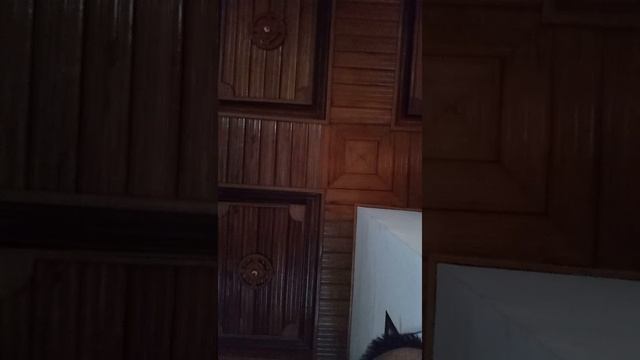 Rintihan Simiskin utk koroptor смотреть онлайн