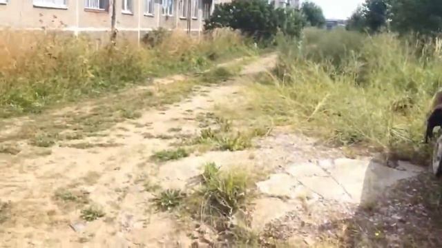 VLOG 2. Гуляем по району. Анашкин хутор. смотреть онлайн