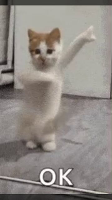 1000023455.mp4 смотреть онлайн