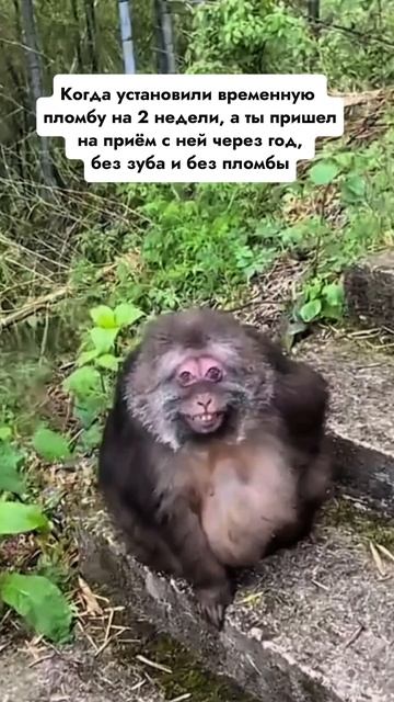 Временная пломба смотреть онлайн