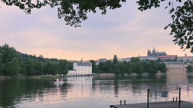 Пражский лебедь смотреть онлайн