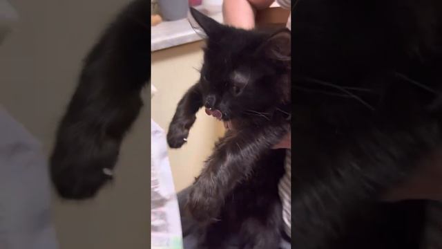 5 марта 2021 г. смотреть онлайн