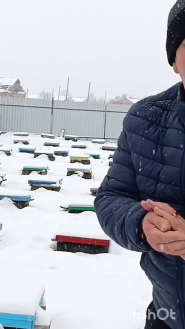 зимовка продолжается 🐝🐝❄️🐝#shorst смотреть онлайн