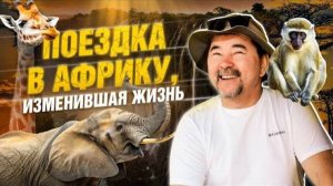 Полная перезагрузка | Жизнь с хищниками | В самом сердце Африки